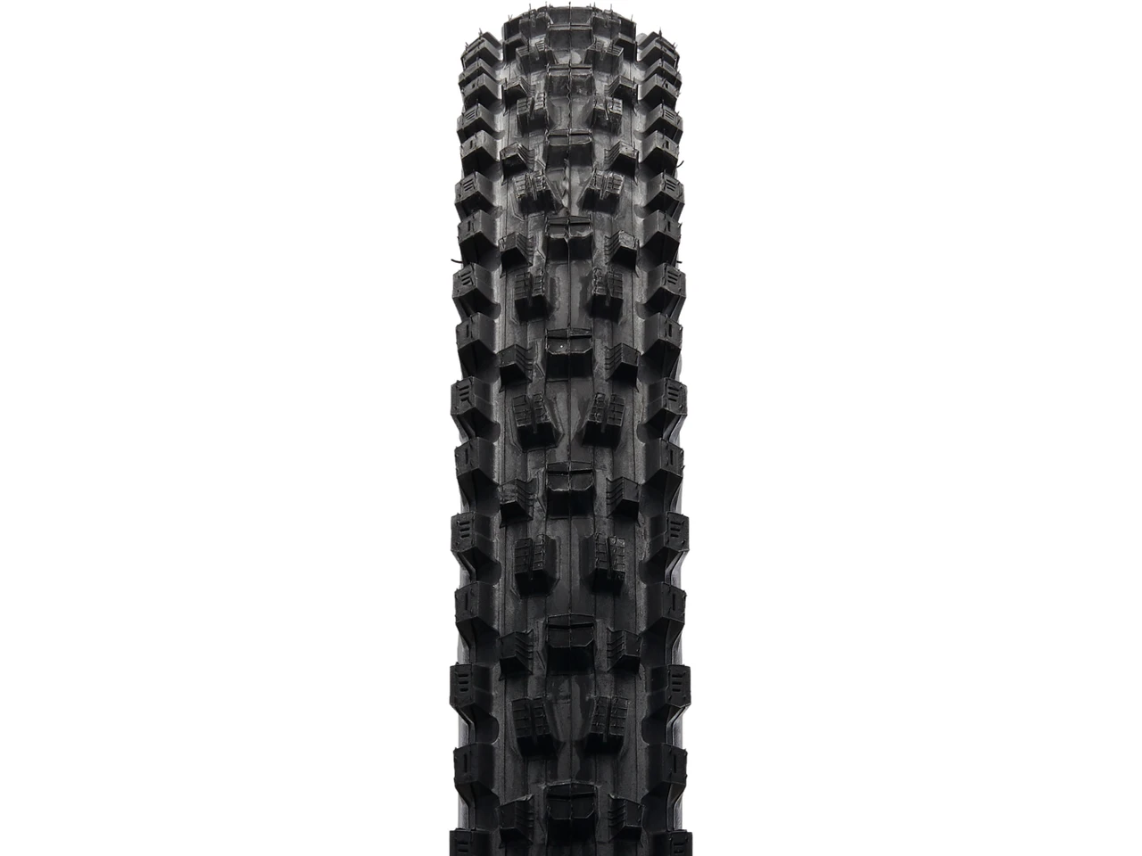 Neumático Maxxis Assegai 29x2.5 Exo+, Maxterra, WT, 3C