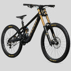 CUADRO DH PIVOT PHOENIX BLACK GOLD
