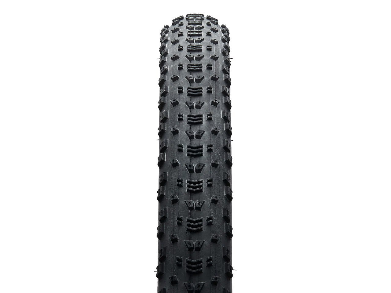Maxxis ASPEN MaxxSpeed/EXO/TR 170TPI 29x2.40