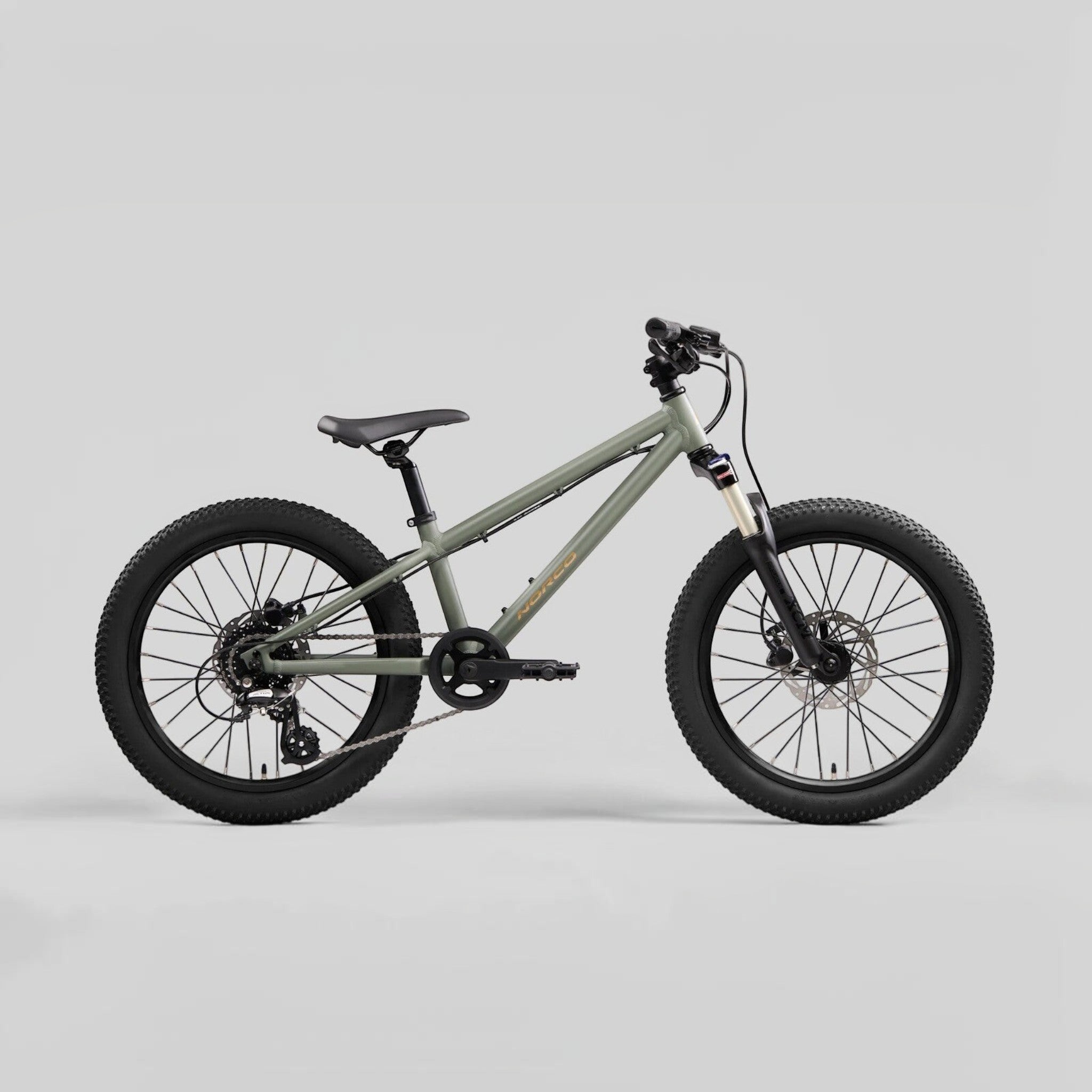 Norco Charger Youth 20 | MTB Kids Trail aro 20