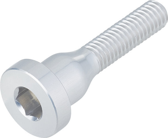 Tornillo Top Cap Burgtec | Rhodium Silver