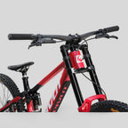 Pivot Phoenix DH Carbon – White/Blue | Kit Team XX DH RockShox / SRAM XX