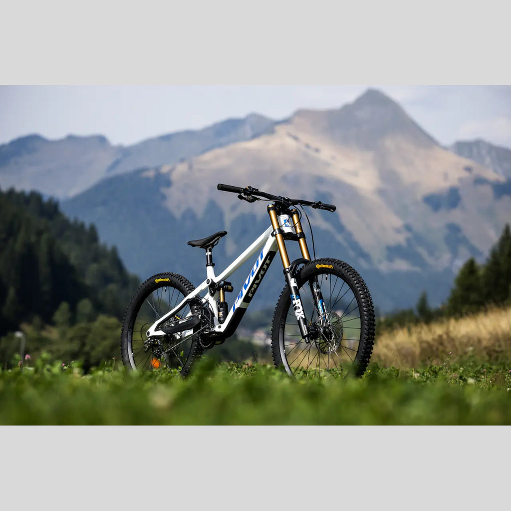 Pivot Phoenix DH Carbon – White/Blue | Kit Descenso PRO Fox Factory - GX