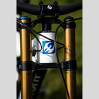 Pivot Phoenix DH Carbon – White/Blue | Kit Descenso PRO Fox Factory - GX
