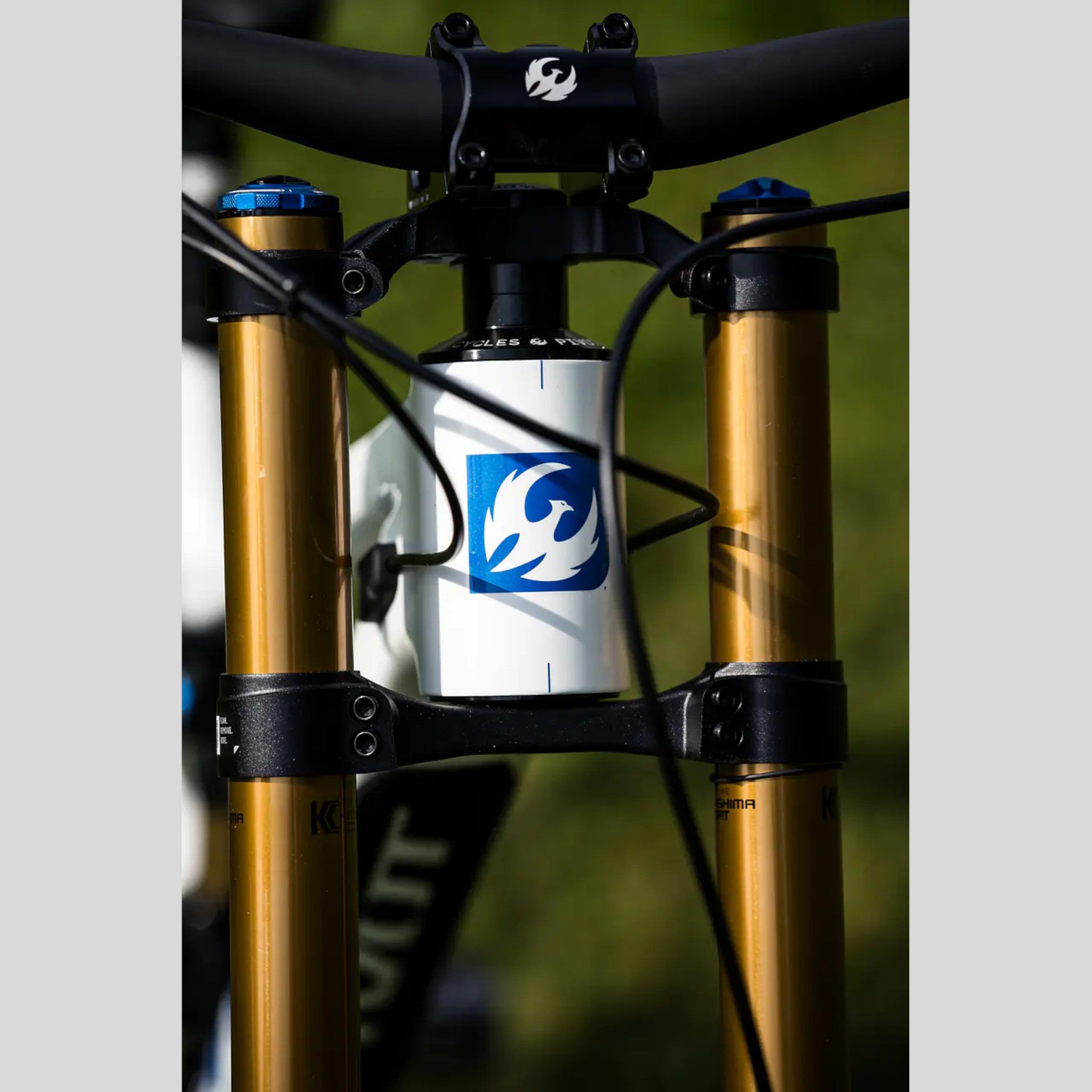 Pivot Phoenix DH Carbon – White/Blue | Kit Descenso PRO Fox Factory - GX